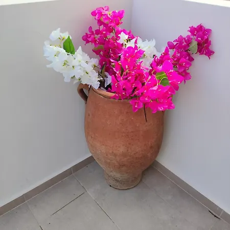 Nmd House شقة إرميوني